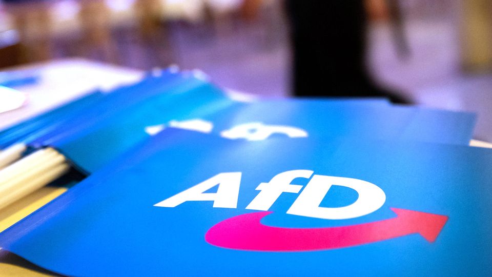 AfD tries to distance itself after meeting with right-wing extremists in Potsdam
