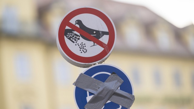 Leisure & Nature: Unfortunately, there are still thoughtless people who feed city pigeons out of a misunderstood love of animals.  This is prohibited in Munich under threat of a fine, as various prohibition signs indicate.