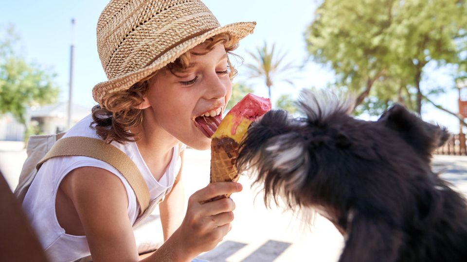 Child and dog eat ice cream