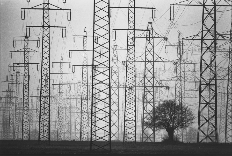 A tree, countless electricity pylons: with this photo, which illustrates the contrast between nature and technology, Moldvay won the World Press Award in the nature category in 1984