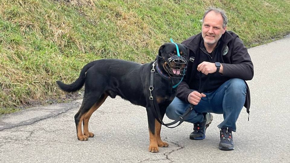 Animal shelter manager Ralf Peßmann trains vicious dogs.  Here he kneels next to a dog with a muzzle.