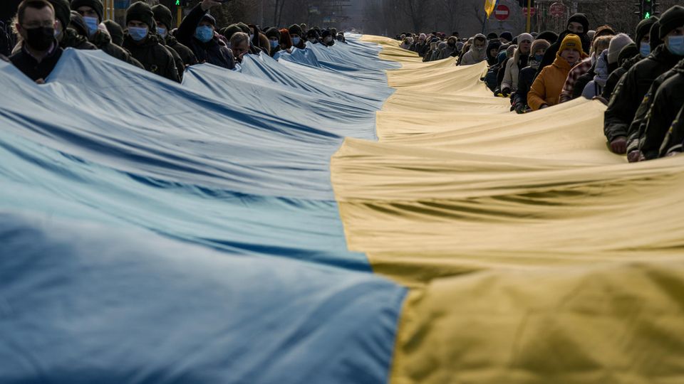 Ukraine - Unity Day in Kiev