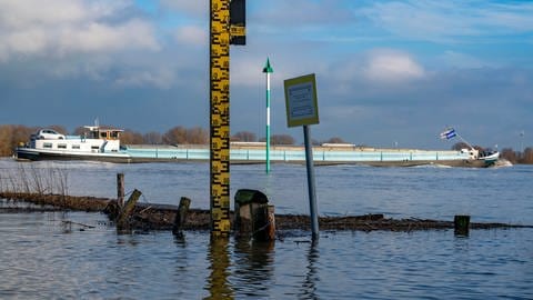 The water level on the Rhine is determined using a water gauge (Photo: dpa Bildfunk, picture alliance / Jochen Tack | Jochen Tack)