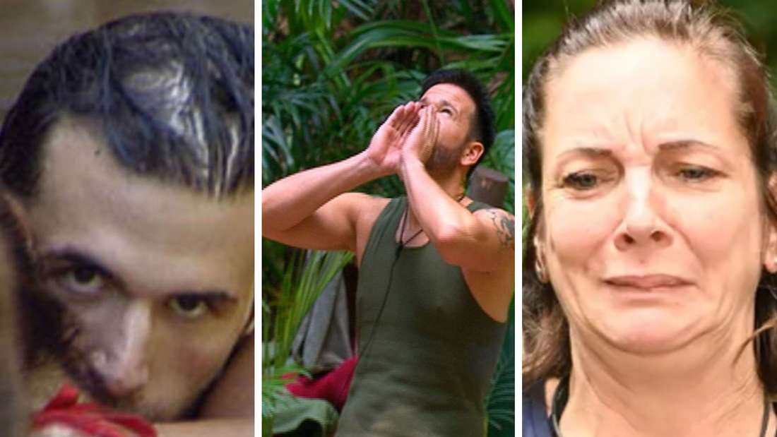 I'm a Celebrity - Get Me Out of Here!: The Biggest Scandals