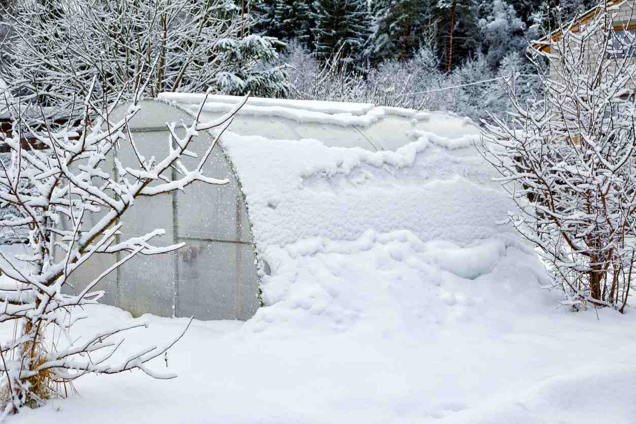 greenhouse under the snow in winter