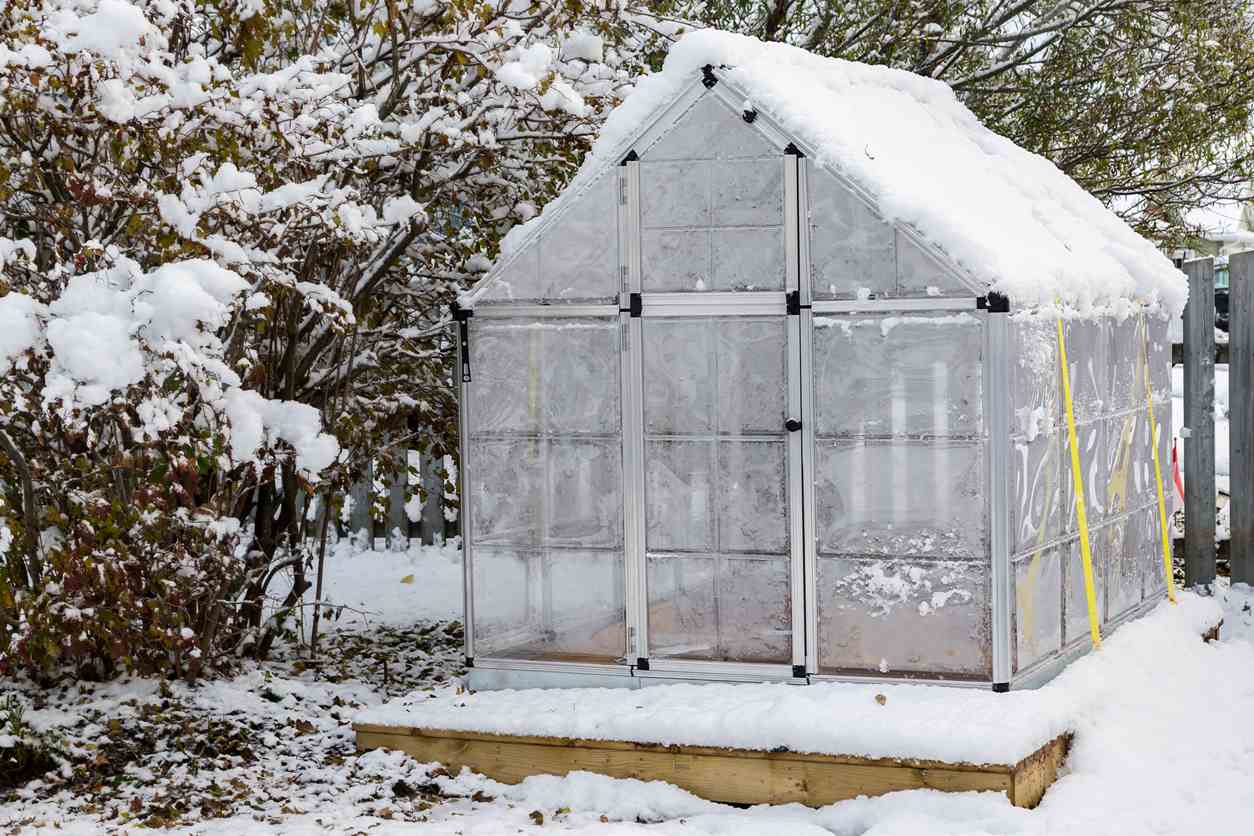 greenhouse in winter in a snowy garden