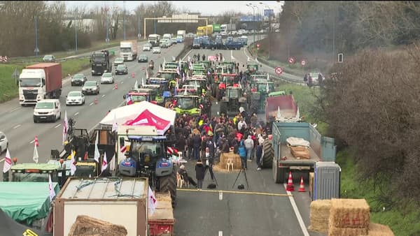 Un blocage d'agriculteurs sur l'autoroute A6 en Essonne, face aux forces de l'ordre, le 31 janvier 2024.
