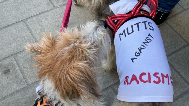 Rallies in Bavaria: Politics is made on the backs of dogs here.