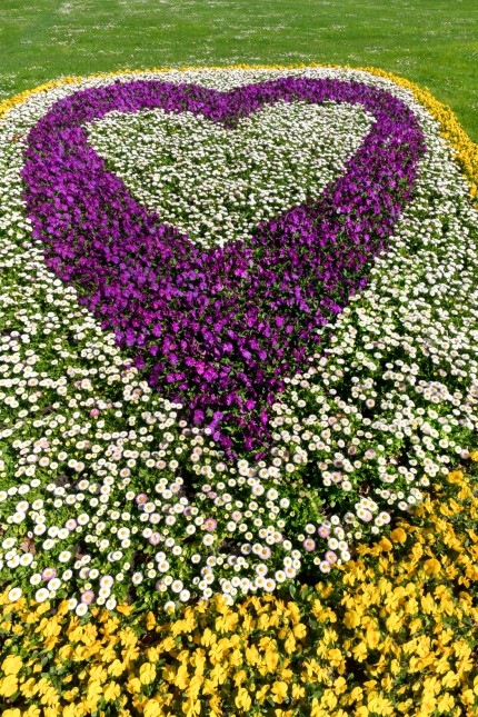 Lifestyle for Valentine's Day: Munich as self-proclaimed "Cosmopolitan city with a heart" could do more for the heart.  For example, cut flower borders in public spaces into heart shapes.