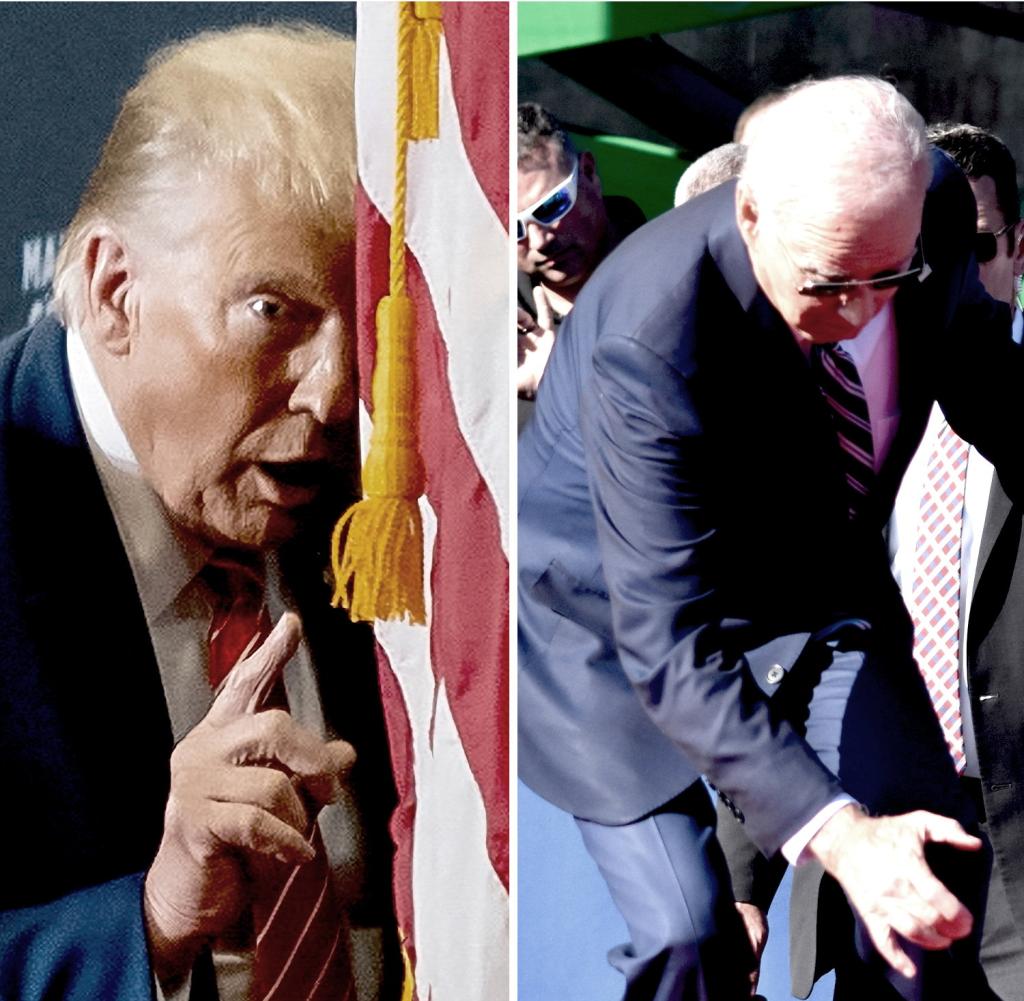 Sometimes stumble: Donald Trump (l.) and Joe Biden (r.)