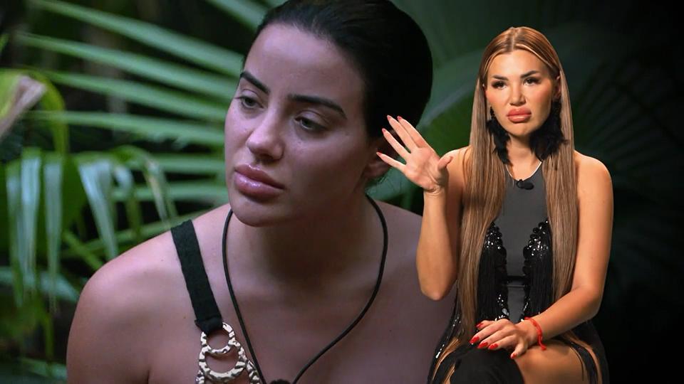 The celebrities comment on Kim's blatant jungle scenes 
