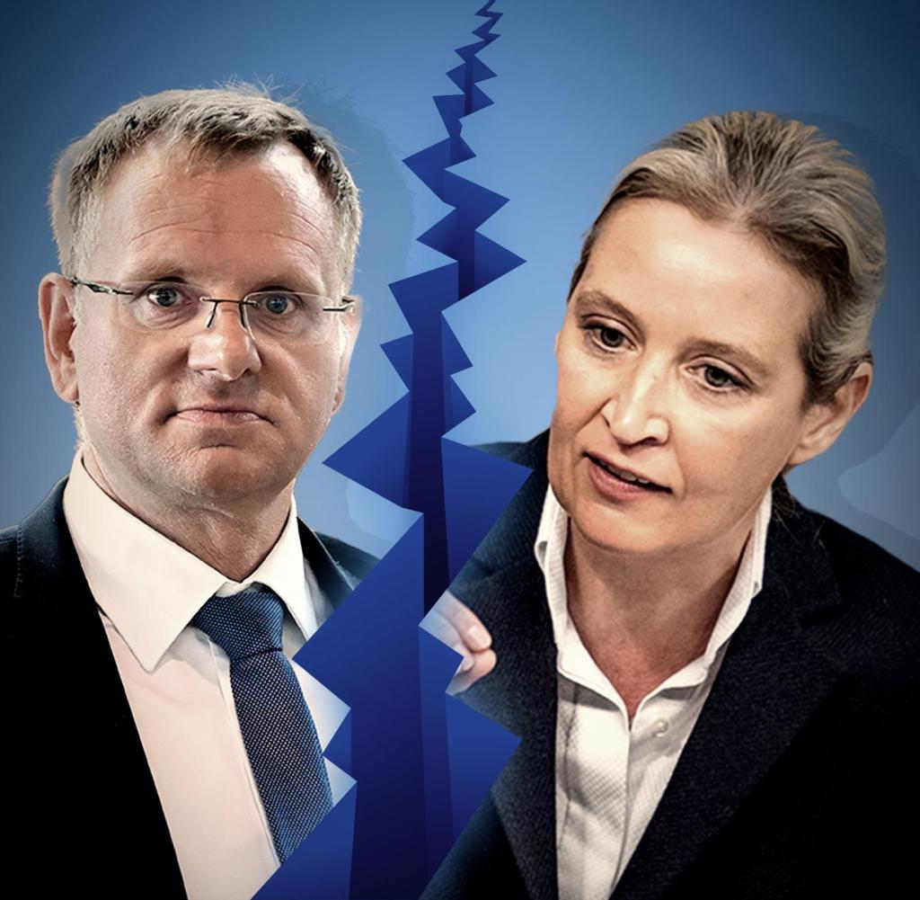 Bundestag member Dirk Spaniel;  AfD leader Alice Weidel