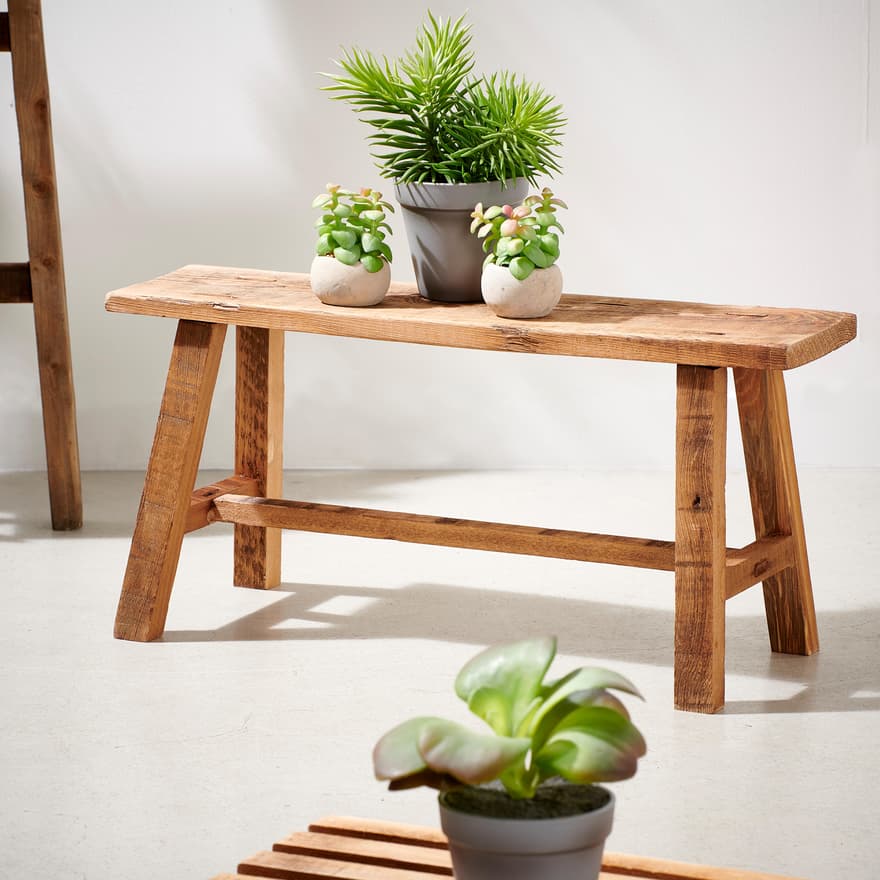 Recycle Natural Plant Table 