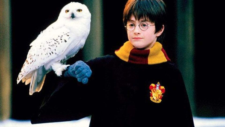 Harry Potter has his owl Hedwig sitting on his arm