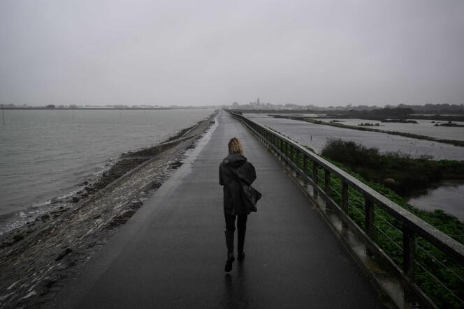 A woman walks on a jetty installed to protect a polder (left) from flooding and marine submersion in Noirmoutier-en-l'Ile (Vendée), on the island of Noirmoutier, February 7, 2024.