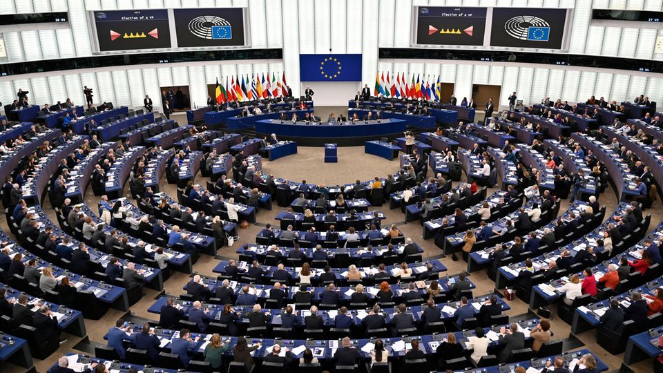 EU Parliament Harassment Metoo