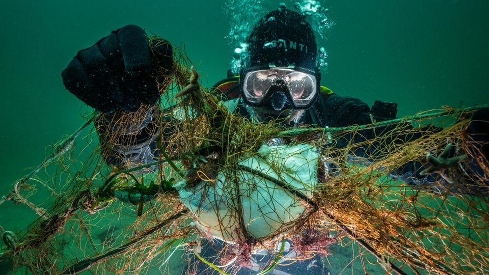 Diver and ghost net