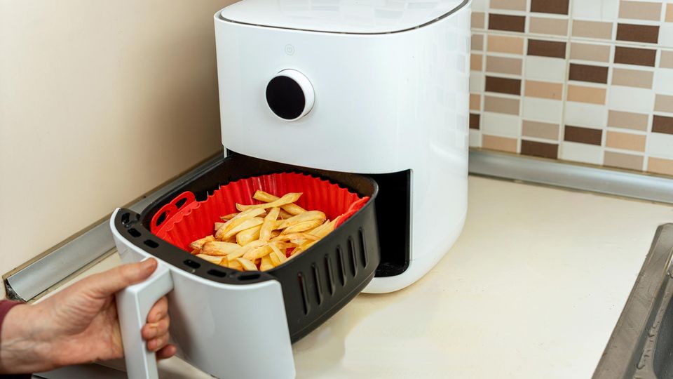 French fries in the hot air fryer