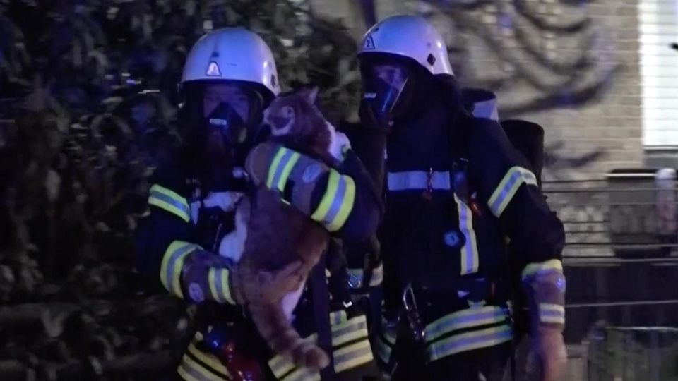 Fire brigade holds rescued cat in their arms