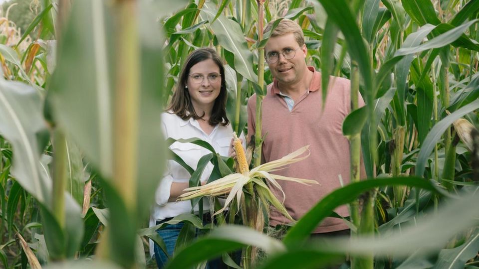 Christina and Christoph are standing in a corn field