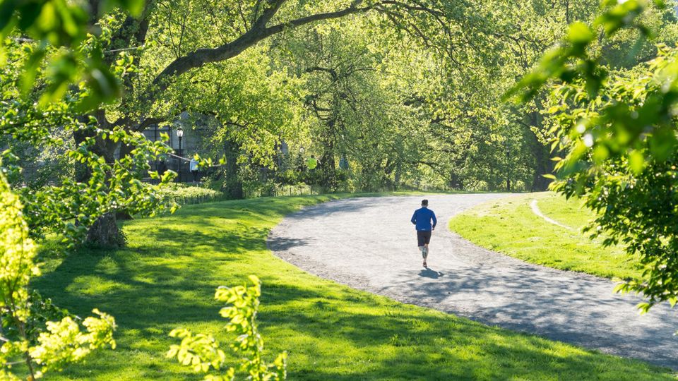 A man jogs through an avenue of trees