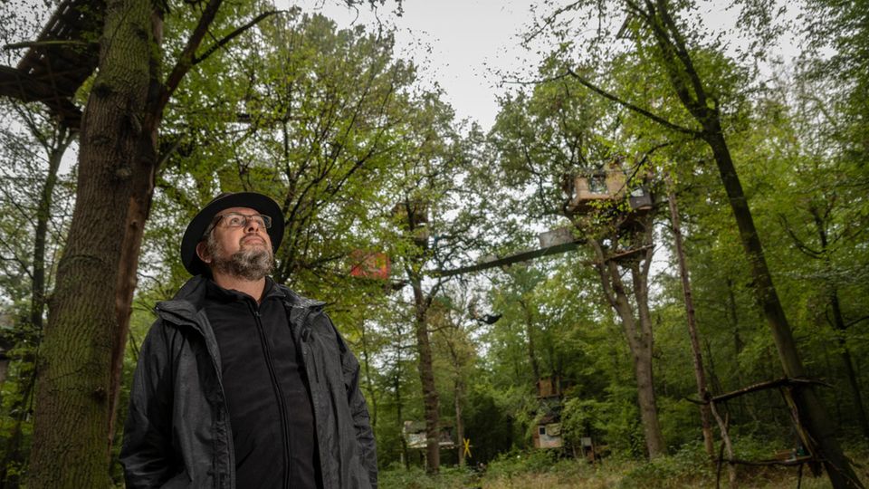 Biologist Pierre Ibisch looks worriedly into the treetops