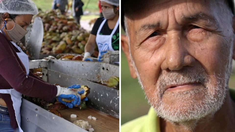 How is our FairTrade chocolate produced?  A report from Nicaragua