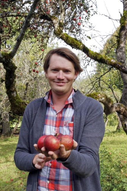Biodiversity project: In 2020, the pomologist Georg Loferer identified old apple varieties in a garden in Ambach, here the one "Danzig Kant".