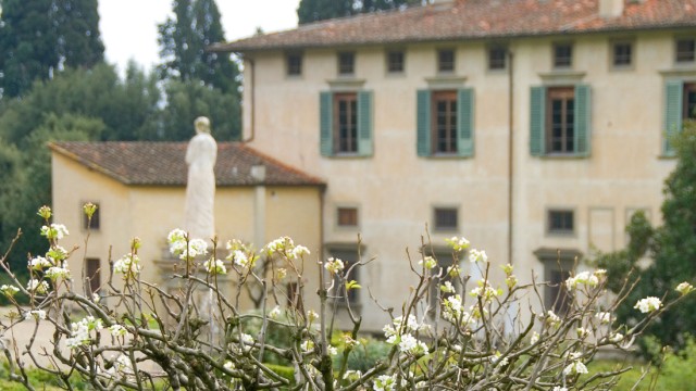 Unknown Italy: A blooming apple tree in the garden of the Villa Castello Medicea near Florence.
