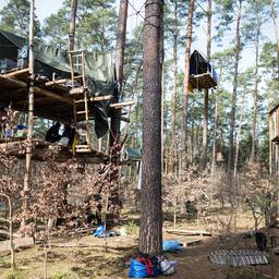 Tree houses hang in a camp of the “Stop Tesla” initiative in a pine forest near the Tesla Gigafactory Berlin-Brandenburg (Source: dpa/Sebastian Gollnow)