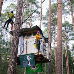 During a protest against the expansion of the Tesla car factory, tree houses hang in the trees while activists work on them.  (Source: dpa/Riedl)