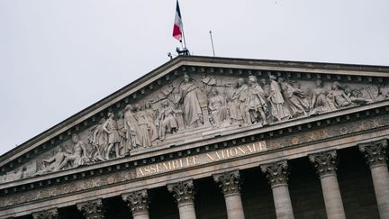 The National Assembly, January 17, 2024, in Paris (7th arrondissement).  (XOSE BOUZAS / HANS LUCAS / AFP)